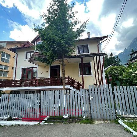 Constantinescu A. Hotel Busteni Exterior photo