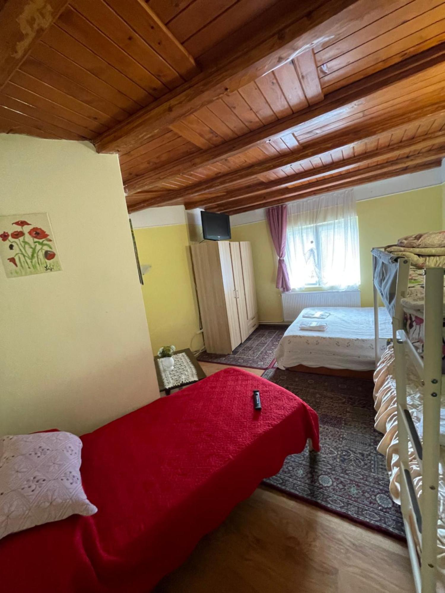 Constantinescu A. Hotel Busteni Exterior photo